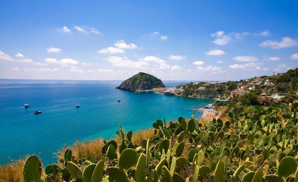 Hotel Vittorio Beach Resort Barano d'Ischia Екстер'єр фото